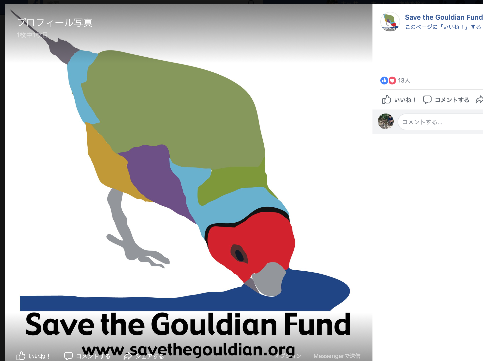 Save the Gouldian Finch Fund